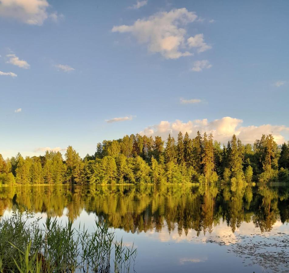 Forest Lake Villa Kscava Eksteriør billede